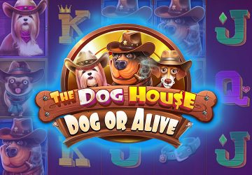 Слот The Dog House Dog Or Alive в PlayDom казино
